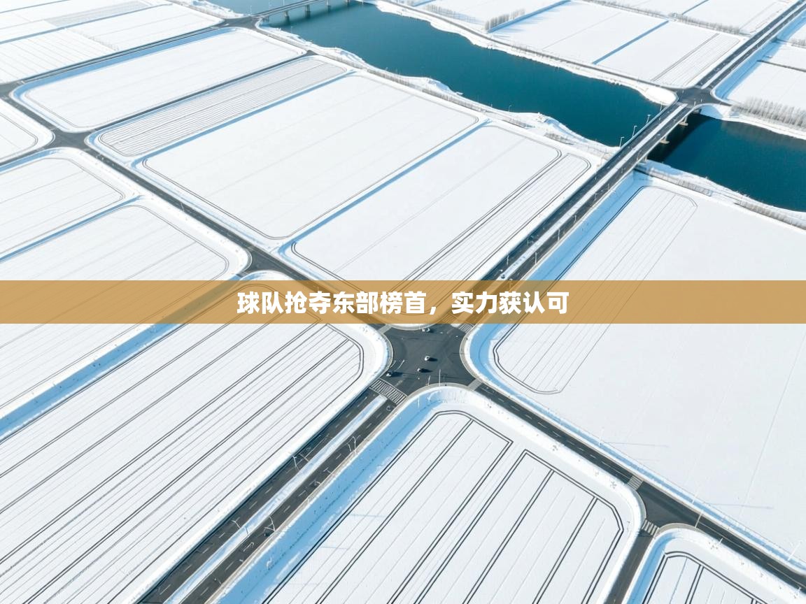 球队抢夺东部榜首，实力获认可  第2张