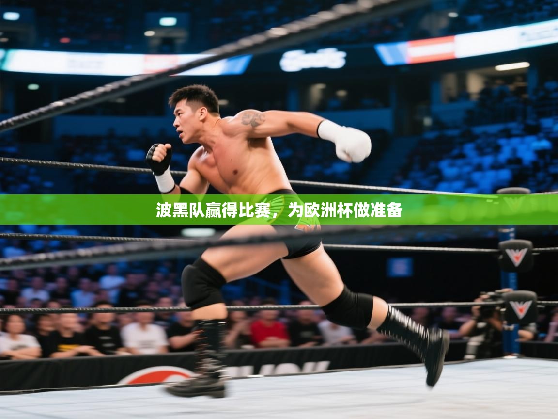 波黑队赢得比赛，为欧洲杯做准备  第1张