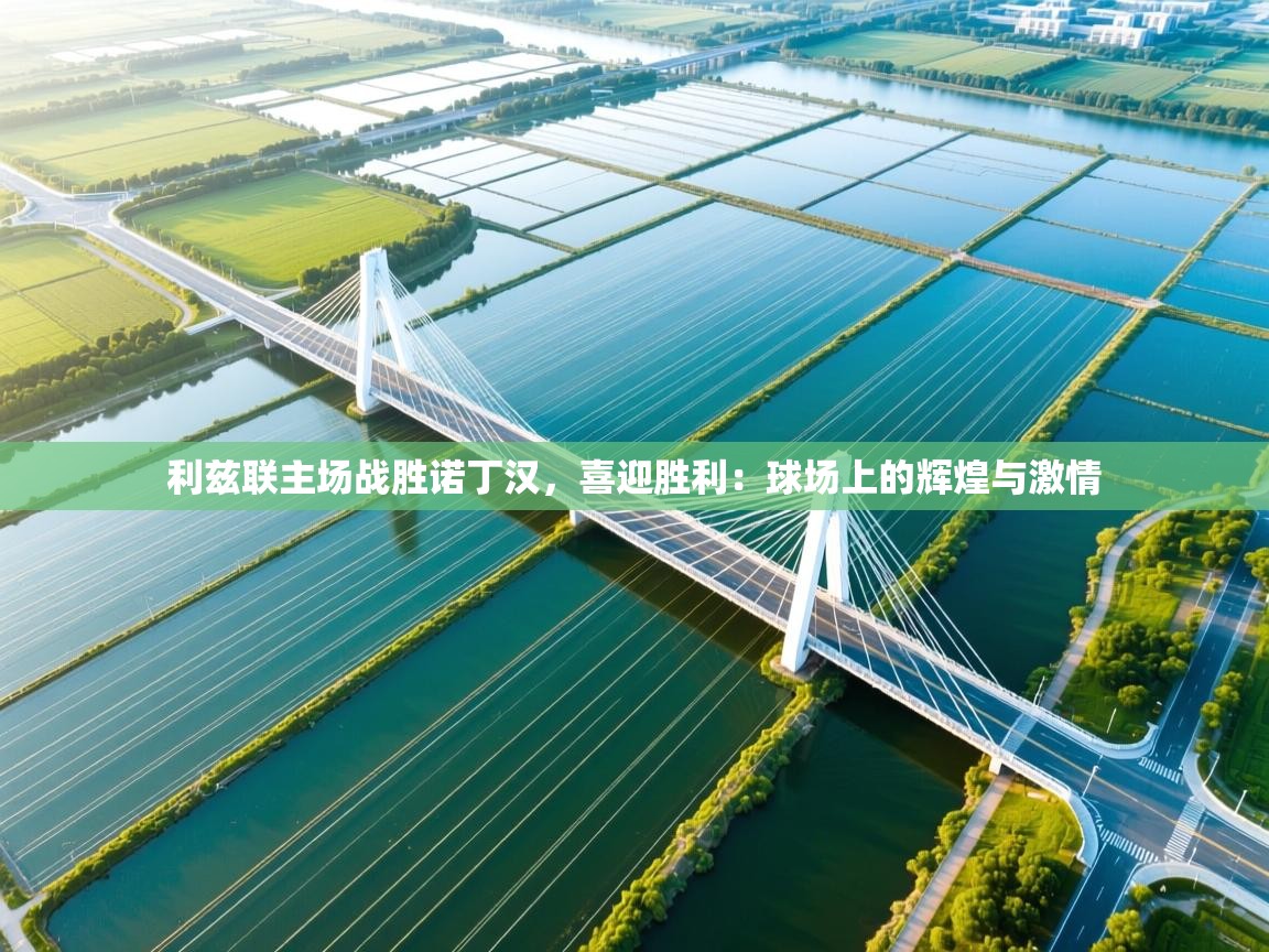 利兹联主场战胜诺丁汉，喜迎胜利：球场上的辉煌与激情  第2张