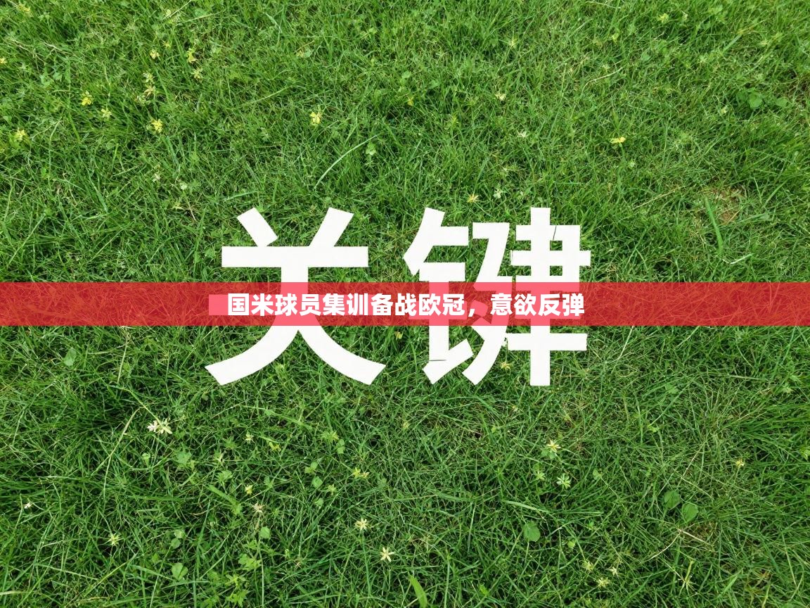 国米球员集训备战欧冠，意欲反弹  第1张