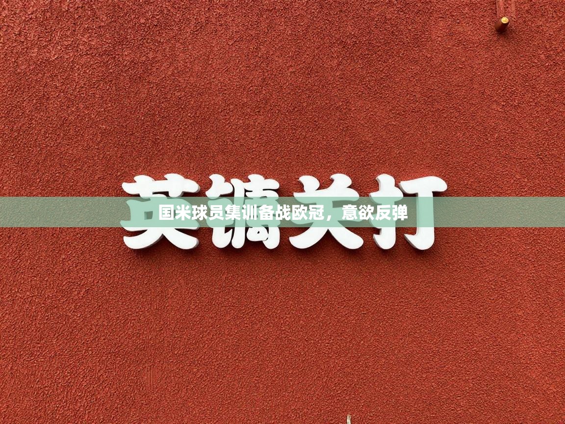 国米球员集训备战欧冠，意欲反弹  第2张