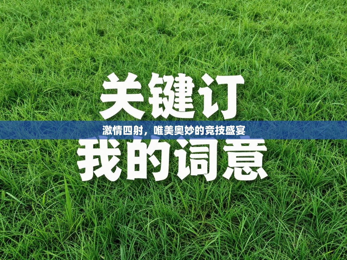 激情四射，唯美奥妙的竞技盛宴  第1张