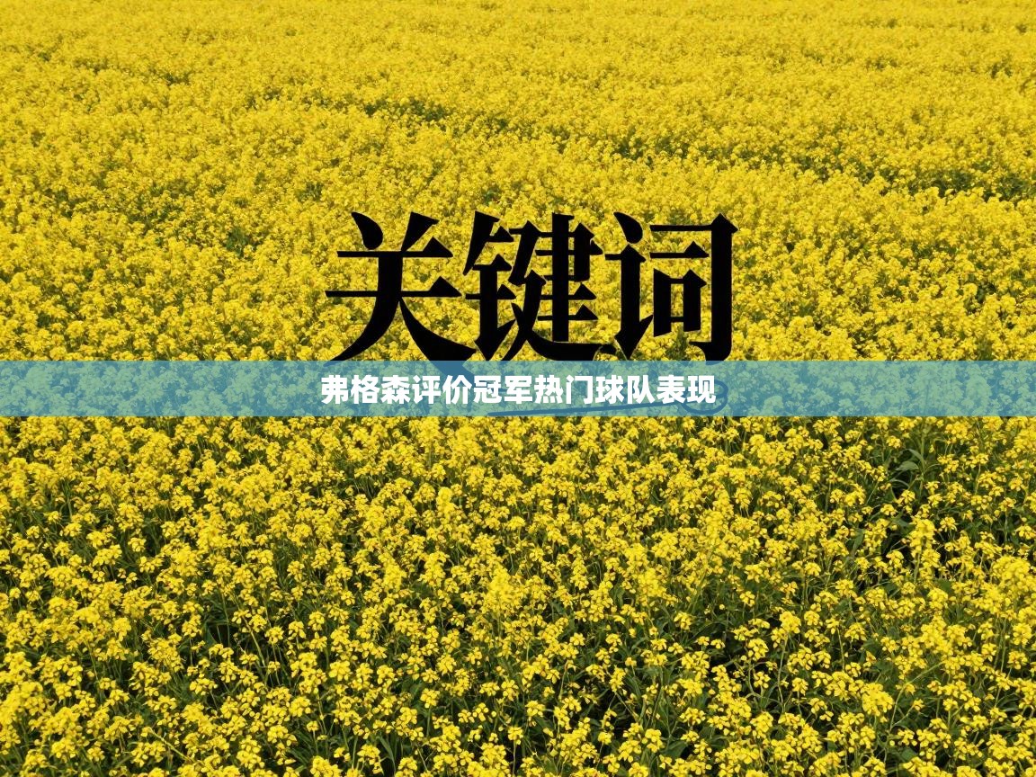 弗格森评价冠军热门球队表现 第1张